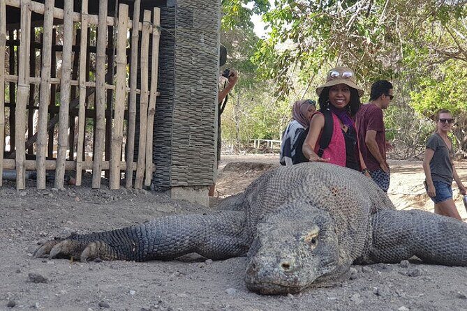 1- day Komodo Island Hopping Tour by Speed Boat departure From Labuan bajo - Included lunch box and water: simple value that matters at 4pm