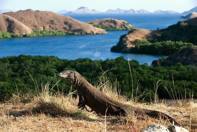 1- day Komodo island Tour hopping around by Speed Boat - Padar Island: the viewpoint hike that people keep talking about