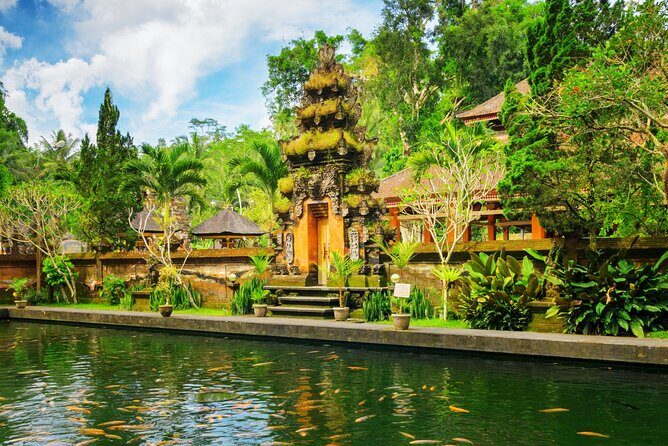 1-Day Ubud Tours All-Inclusive - Sacred Monkey Forest Sanctuary: Fun Energy, Clear Etiquette