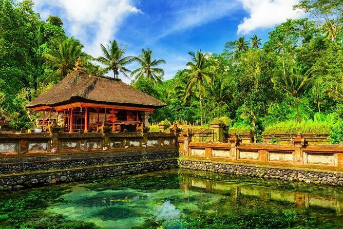 1-Day Ubud Tours All-Inclusive - Tirta Empul Temple: The Calm, Spiritual Midday Moment