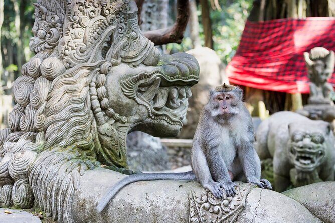1-Day Ubud Tours All-Inclusive - Swing Experience and Coffee Plantation: Switch From Thrills to Sipping