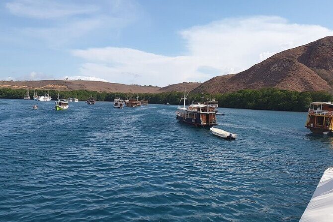 3-Day Komodo island Tour with or without Roundtrip Flight From Bali - Hotel Kalton or similar: base camp in Labuan Bajo
