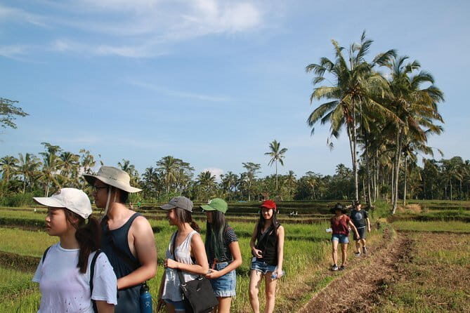 3-Day Private Sightseeing Tour of Bali with Hotel Pickup - The value check: how $150 stacks up (and what costs extra)