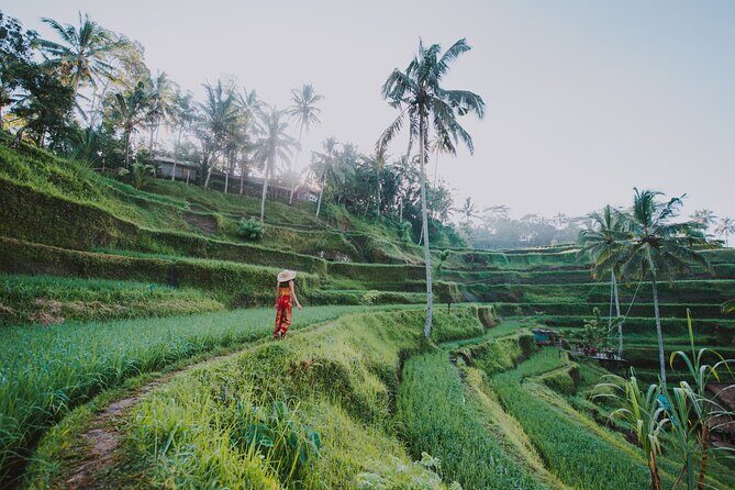 3 Days for the best of Ubud Private Tour - Why this Ubud tour feels different from a random checklist