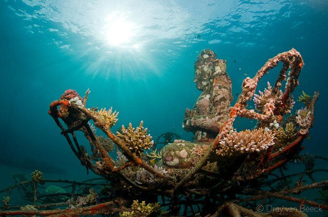 3 Days PADI Open Water Course in Pemuteran - Price and Value: Is $425 a Good Deal?