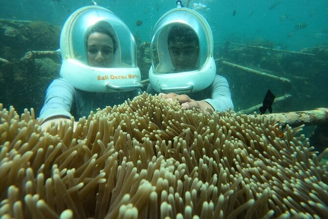 30 Minutes Ocean Walking in Nusa Dua, Bali - Transfers and timing: making the day feel easy