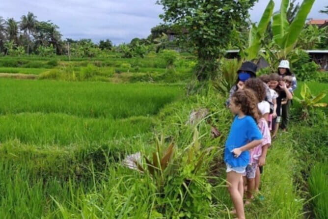 30 Minutes Ocean Walking in Nusa Dua, Bali - Price and value check: what USD 55 really includes