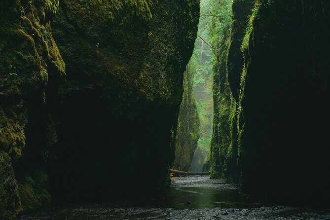 3Hrs Intermediate Canyoning in North Bali (Pickup, Lunch & GoPro) - The GoPro photo and video package: keep the memories without the stress