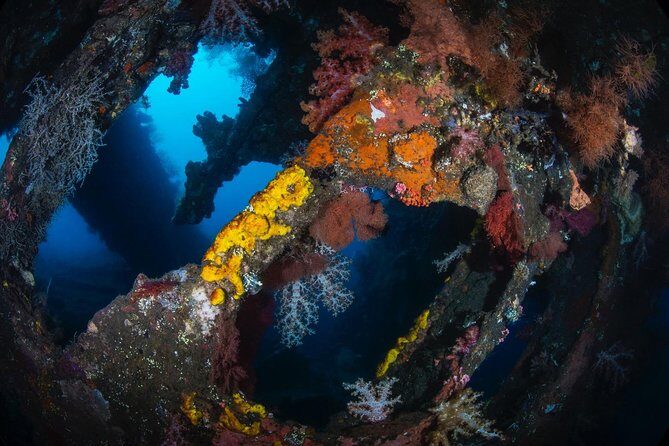 5 Fun Dives in Tulamben (for certified divers) - Discover famous diving sites - Who This Is For (And Who Should Skip Tulamben’s Shore-Entry Style)