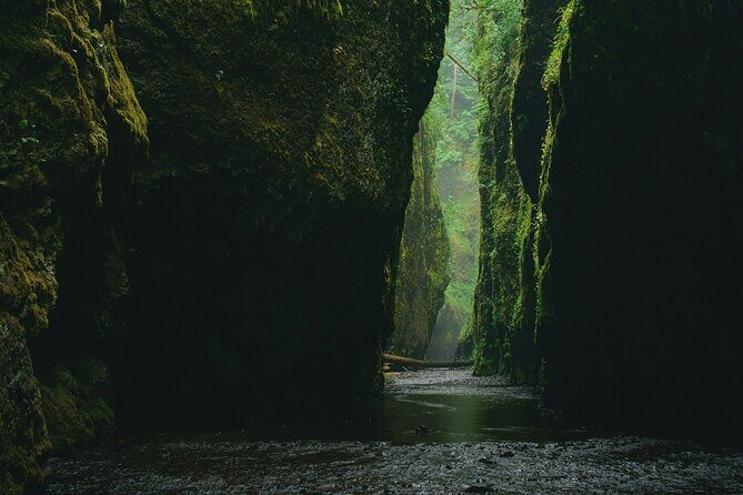 5Hrs Advanced Canyoning (50m) 12 Rappels (Pickup, Lunch & GoPro) - Price and value: what $199 buys you in real terms