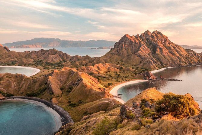 A Day to Komodo Island - Komodo Island: ranger-led dragon time (wild, not scripted)