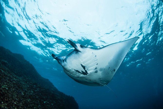 Advanced Open Water Course - Advanced Certification in Lembongan (next to Bali) - Crystal Bay to Jungut Batu Beach: why the route matters