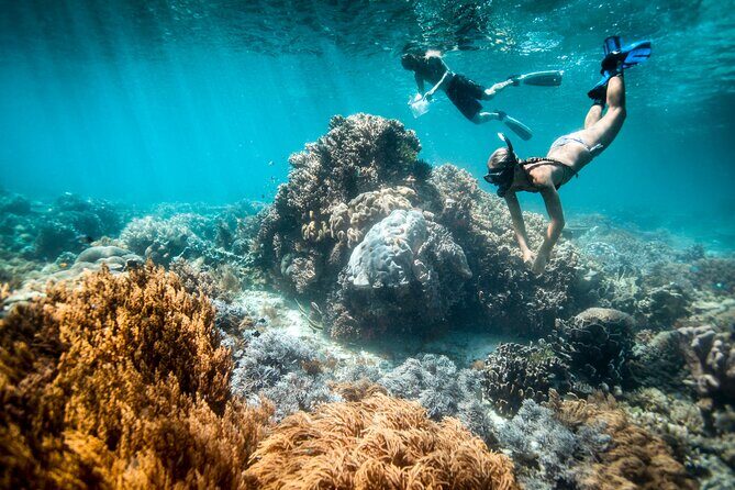 All Inclusive Bali Blue Lagoon and Tanjung Jepun Snorkeling - Key Highlights You’ll Care About