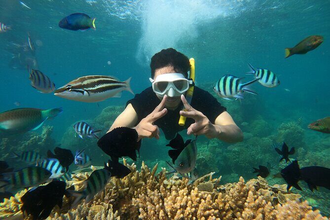 All Inclusive Bali Blue Lagoon and Tanjung Jepun Snorkeling - Price and Value at $48: What You’re Getting, What Costs Extra