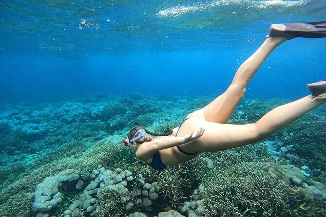 All Inclusive Bali Blue Lagoon and Tanjung Jepun Snorkeling - Who This Snorkeling Day Fits Best (And Who Should Think Twice)