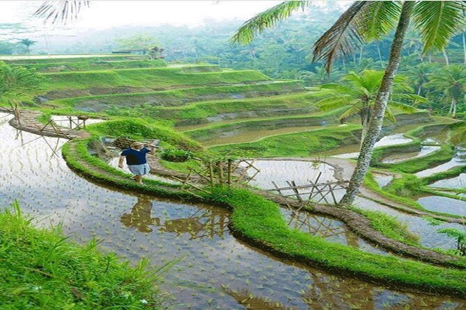 ALL INCLUSIVE - Bali Gate Of Heaven Tour - The traditional coffee-making stop: a short culture break
