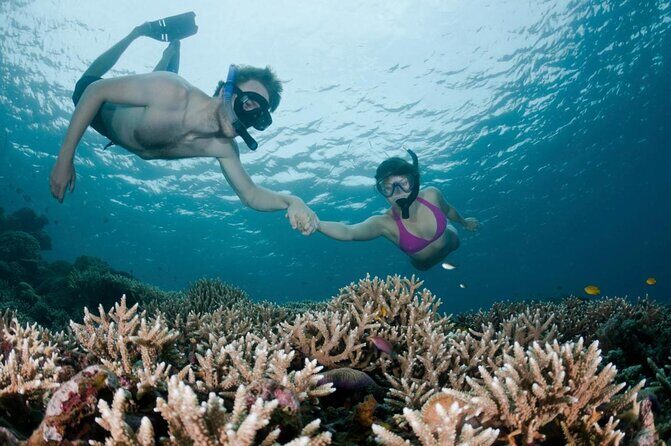 All Inclusive Bali Scuba Diving at Tulamben with Lunch -Transport - Key things I’d plan around