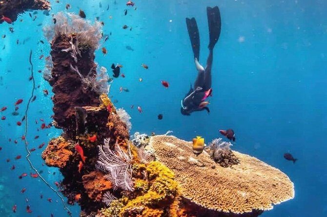 All Inclusive Bali Scuba Diving at Tulamben with Lunch -Transport - From Ubud to Tulamben: The ride, timing, and what the day feels like