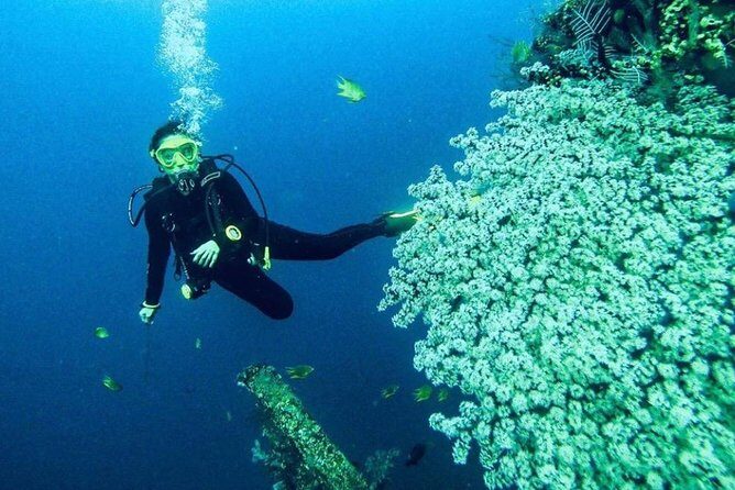 All Inclusive Bali Scuba Diving at Tulamben with Lunch -Transport - Gear, water insurance, and lunch: The included stuff that saves you hassle