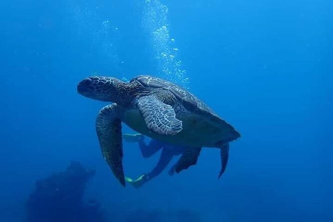 All Inclusive Bali Scuba Diving at Tulamben with Lunch -Transport - Padang Bay to the water: The boat transfer and how you’ll choose the spot