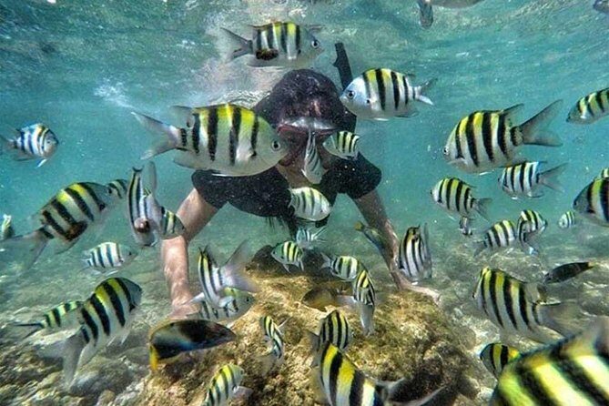 All Inclusive Bali Snorkeling Blue Lagoon tour experience - Lunch at 2:00: Refuel Without Losing the Vibe