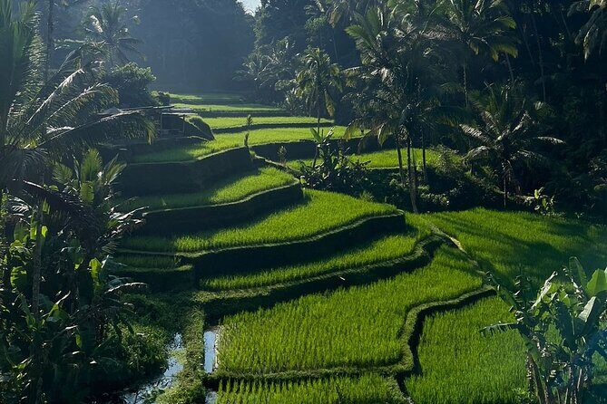 All Inclusive Ubud Tour - Why This All Inclusive Ubud Day Tour Works