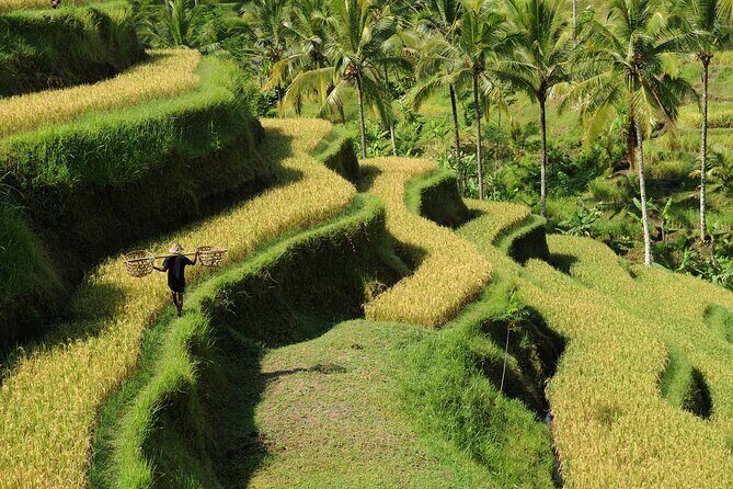All-Inclusive Ubud's Wonder Day Tour - Ulu Petanu Waterfall: Jungle Mist and a Cool Swim Pause