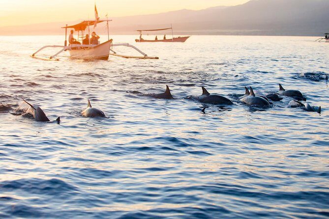 Amazing Private Tours: Dolphins Lovina and Gitgit Waterfall include Lunch - What this tour really is (and why it works)