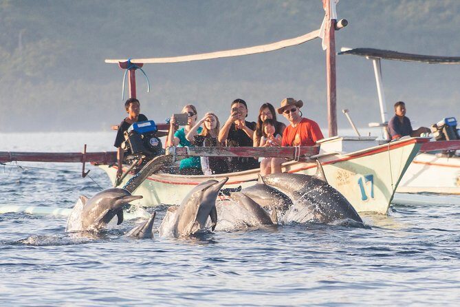 Amazing Private Tours: Dolphins Lovina and Gitgit Waterfall include Lunch - The 2:30 am pickup: handling the early start without misery