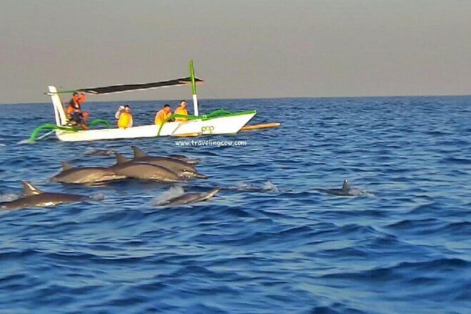 Amazing Private Tours: Dolphins Lovina and Gitgit Waterfall include Lunch - Ulundanu Beratan temple: more than a stop photo