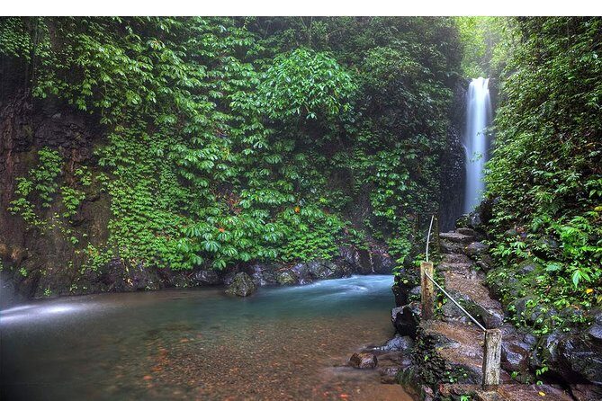 Amazing Private Tours: Dolphins Lovina and Gitgit Waterfall include Lunch - Lunch and Candikuning market: good value added to the route