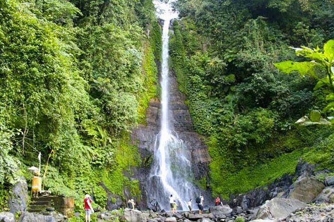 Amazing Private Tours: Dolphins Lovina and Gitgit Waterfall include Lunch - Price and value: why $78.50 can make sense here