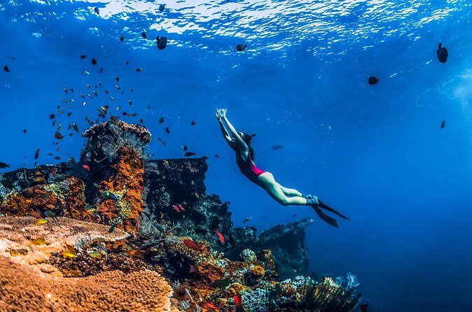 Amed Bali Snorkelling: Japanese Shipwreck & Vienna Beach Tour - Stop 3: Vienna Beach for calm-water snorkeling and a softer landing
