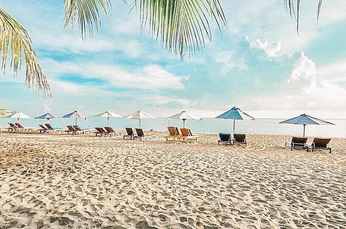 Amed Bali Snorkelling: Japanese Shipwreck & Vienna Beach Tour - The guide experience: equipment fit, safety cues, and wildlife manners