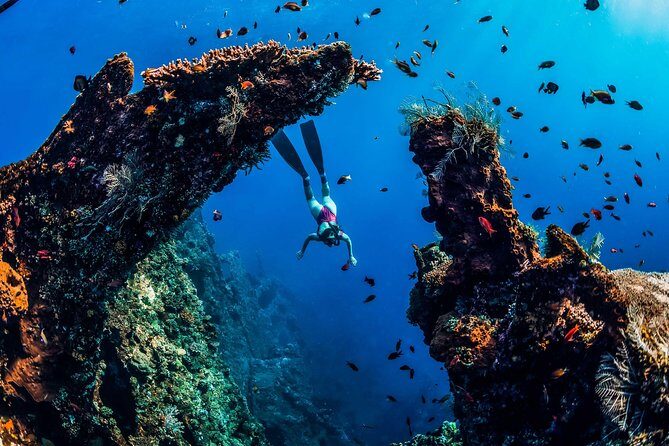 Amed Bali Snorkelling: Japanese Shipwreck & Vienna Beach Tour - Practical tips so the day goes smoothly in Amed