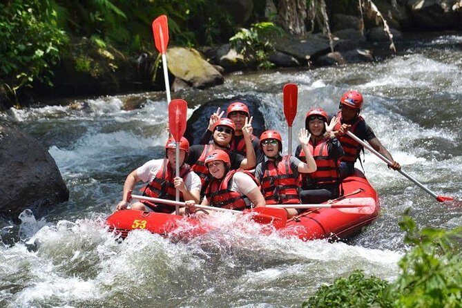 Ayung River Half-Day White Water Rafting Bali in Ubud - Key highlights you’ll feel right away