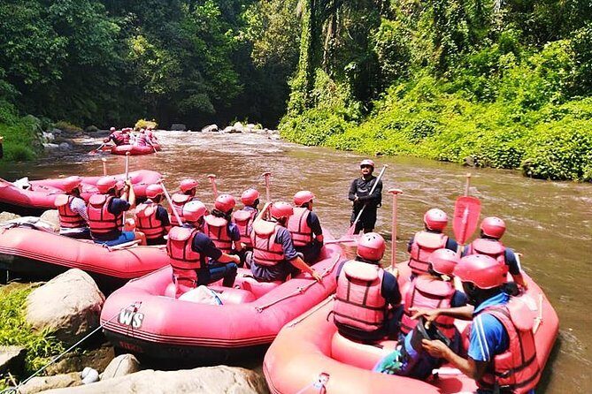 Ayung River Half-Day White Water Rafting Bali in Ubud - Price and value: is $28 per person a smart buy?