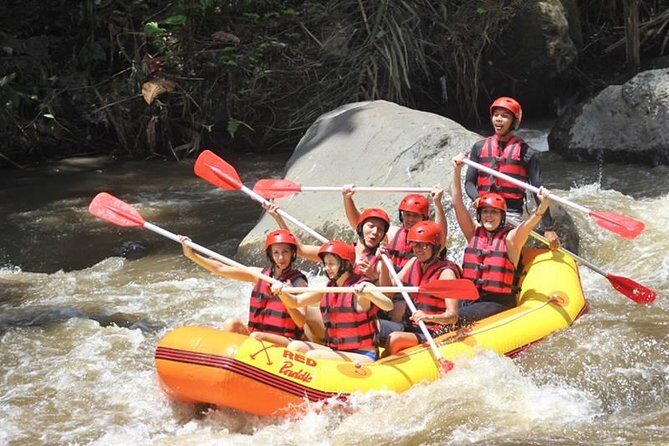 Ayung River Half-Day White Water Rafting Bali in Ubud - Who this rafting trip fits best (and who should think twice)