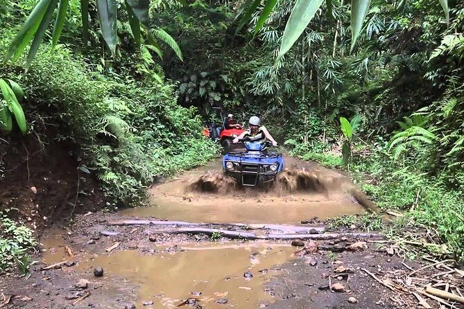 Balaji Adventure Bali Quad Bike - Single Bike 250cc - Your Route: Paddy Fields, Coffee Plantations, Small Rivers, and Steep Tracks