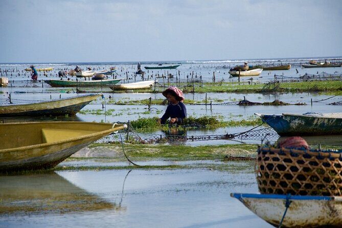 Bali 2 Days and 1 Nights of Nusa Penida and Lembongan Tour - Day 2 Nusa Lembongan Highlights: Yellow Bridge, Mangroves, Seaweed Farm, Devil’s Tears, Dream Beach