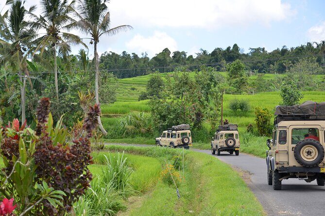 Bali 4WD Adventure WakaLand UNESCO Jatiluwih Trip in Bali Outback - Key things that make this tour worth your attention