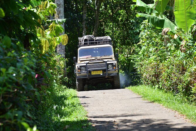 Bali 4WD Adventure WakaLand UNESCO Jatiluwih Trip in Bali Outback - Batukaru Mountain and the Temple Sanctuary Moment
