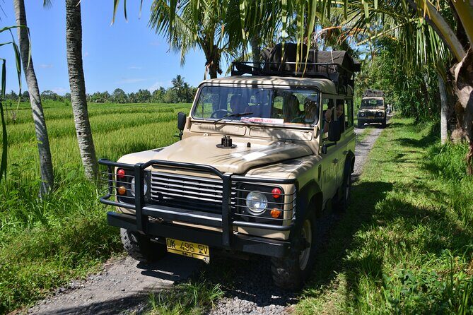 Bali 4WD Adventure WakaLand UNESCO Jatiluwih Trip in Bali Outback - Hot Mineral Baths: Why People Keep Coming Back