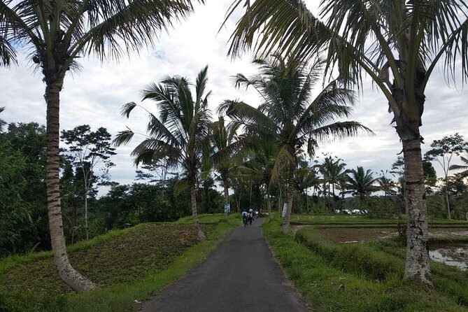 Bali Amazing Cycling Tour - Why this Kintamani to Ubud route works so well