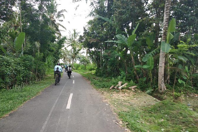 Bali Amazing Cycling Tour - Price and what’s actually included for $40