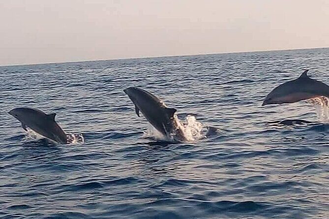 Bali and Lovina with Sunrise Dolphin Tour and Snorkeling - Key things to know before you go