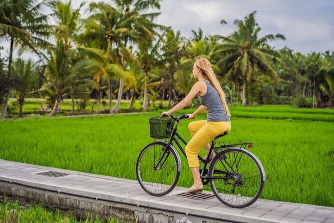 Bali ATV Bike Cave and waterfall with hotel Pick Up And Lunch - Group Size and Transportation: Why Your Day Stays Smooth