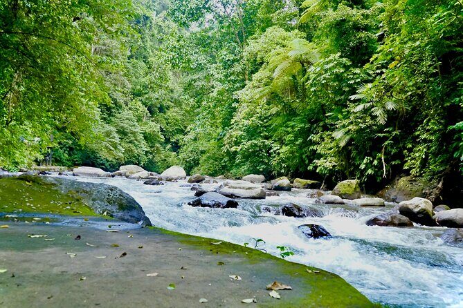 Bali ATV Quad Bike & Ayung River Rafting Combo with Lunch - Lunch, Showers, and the Midday Reset Between Activities