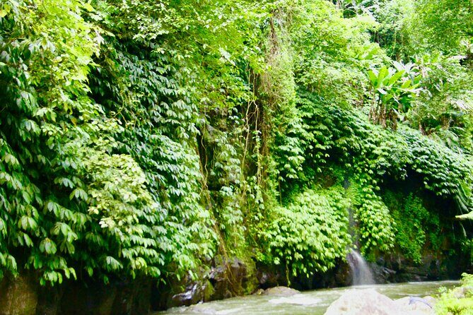 Bali ATV Quad Bike & Ayung River Rafting Combo with Lunch - Pickup, Small Groups, and the 8-Hour Schedule Reality
