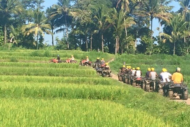 Bali ATV Ride Ubud Jungle Track - What you’re really signing up for on the Ubud jungle ATV track